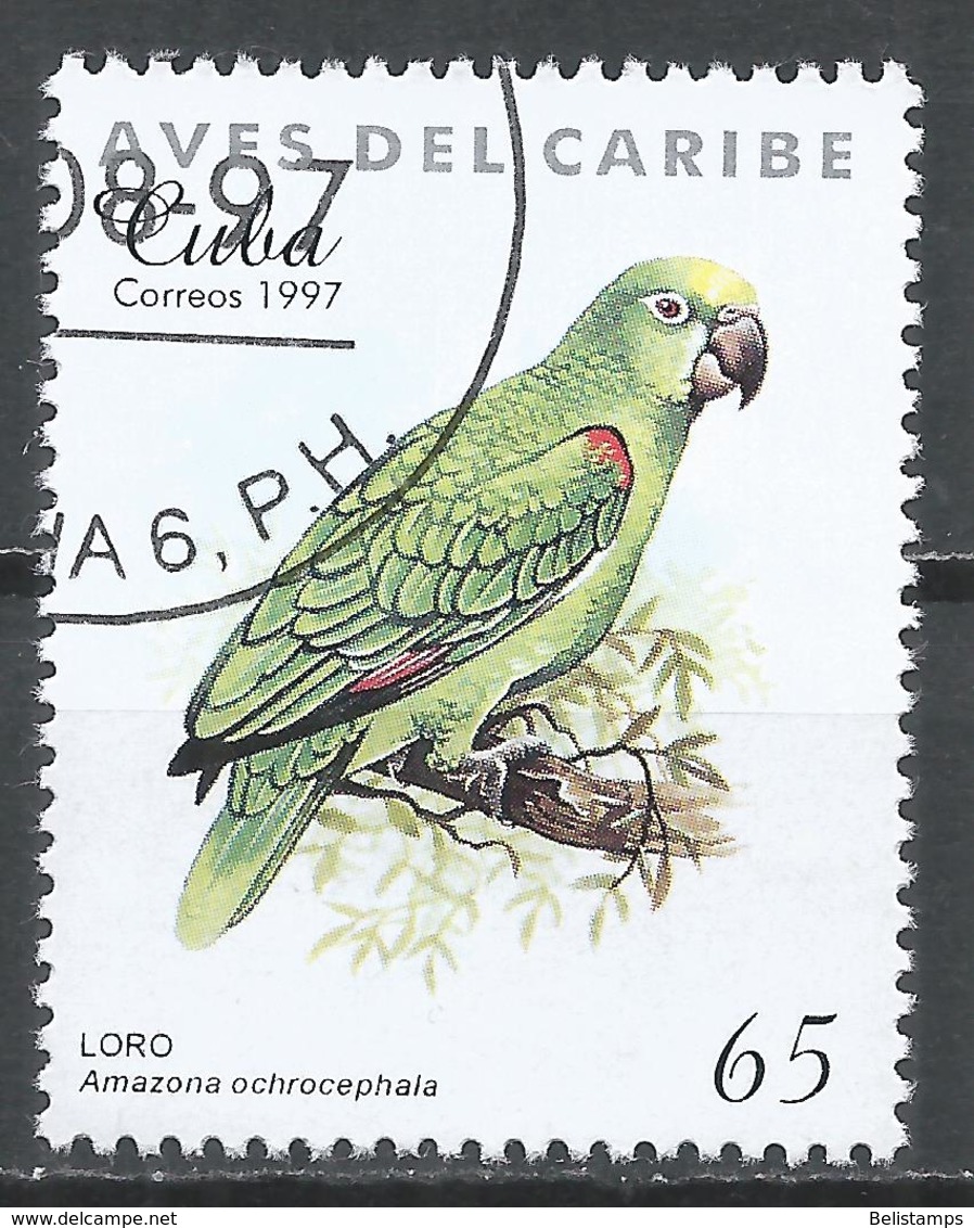 Cuba 1997. Scott #3852 (U) Caribbean Bird, Amazona Ochrocephala - Oblitérés