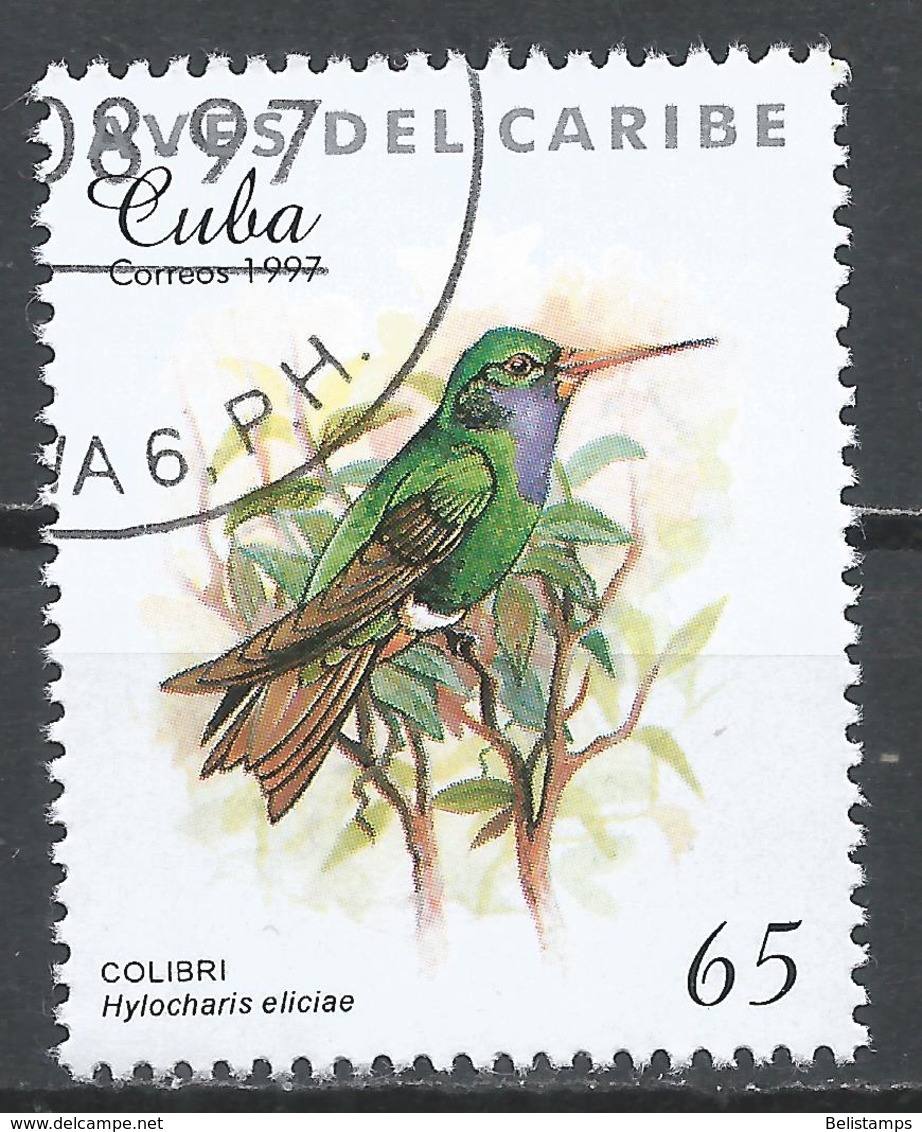 Cuba 1997. Scott #3853 (U) Caribbean Bird, Hylocharis Eliciae * - Oblitérés