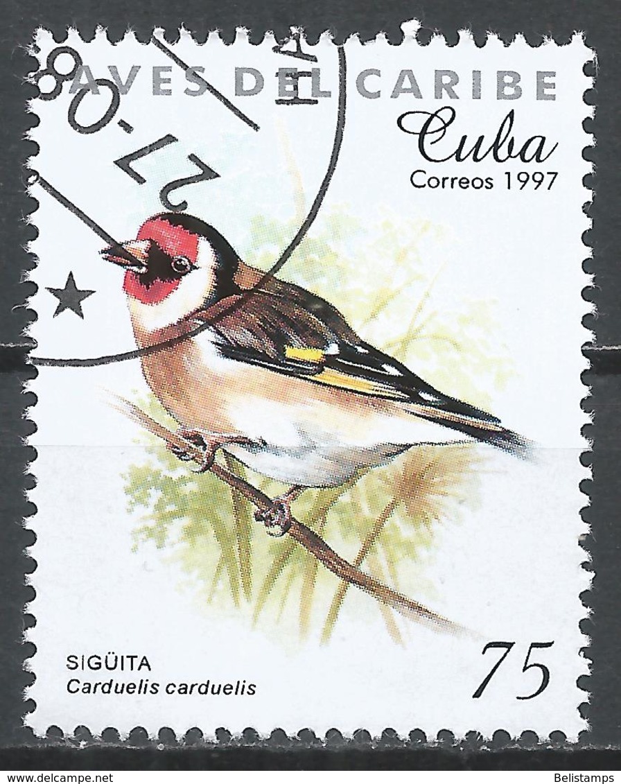 Cuba 1997. Scott #3854 (U) Caribbean Bird, Carduelis Carduelis - Oblitérés