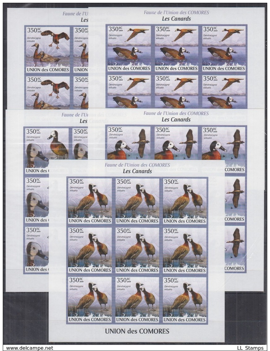 A27. 9x Comores - MNH - Animals - Birds - Full Sheet - 2009 - Imperf - Autres & Non Classés