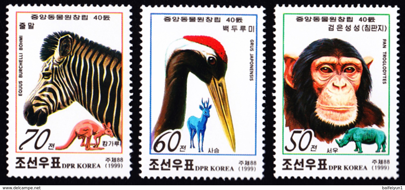 1999 North Korea Stamps Animal Chimpanzee Zebra 3v - Chimpanzees