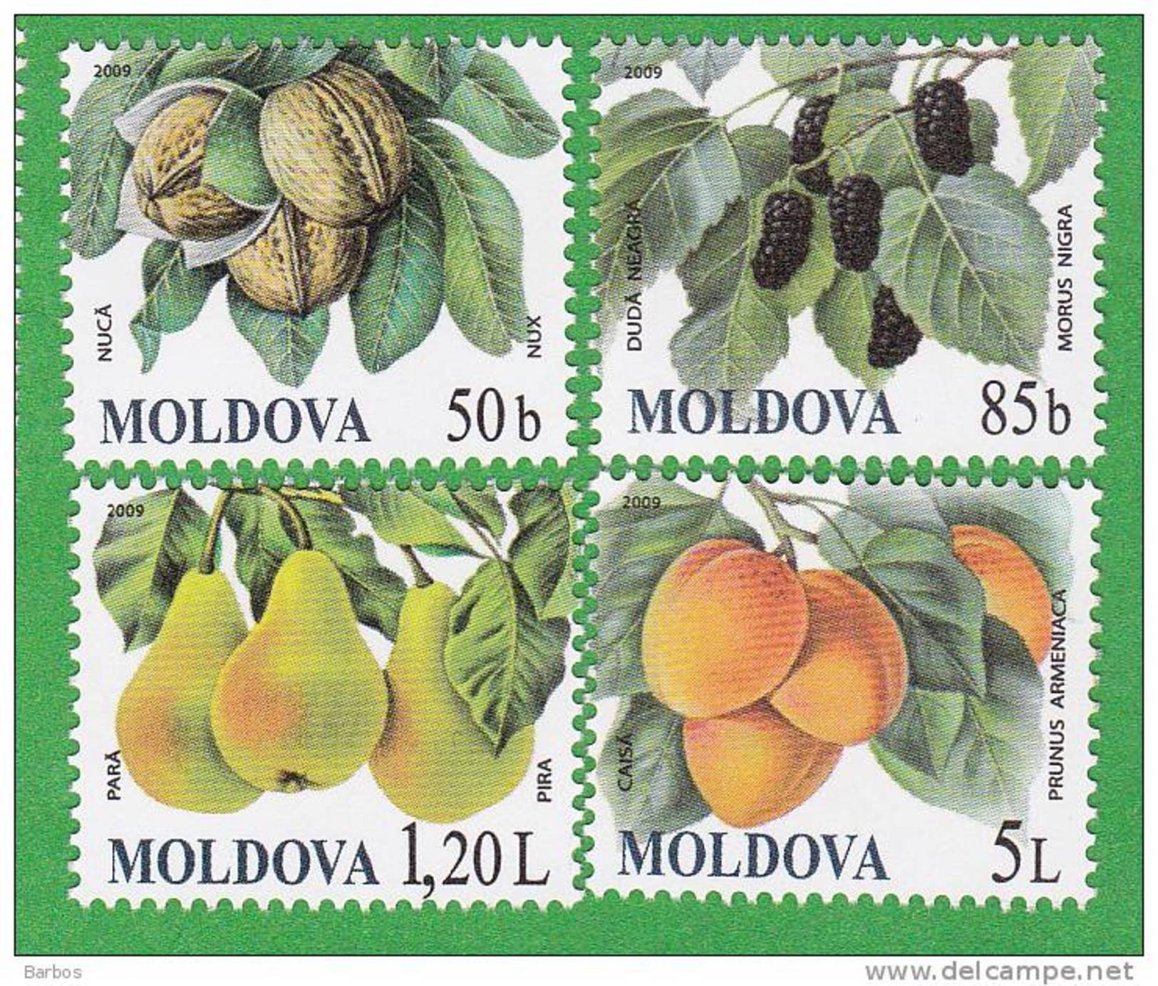 MOLDOVA   MOLDAVIE   MOLDAWIEN  MOLDAU ;  FRUIT; 2009 , MNH - Moldawien (Moldau)