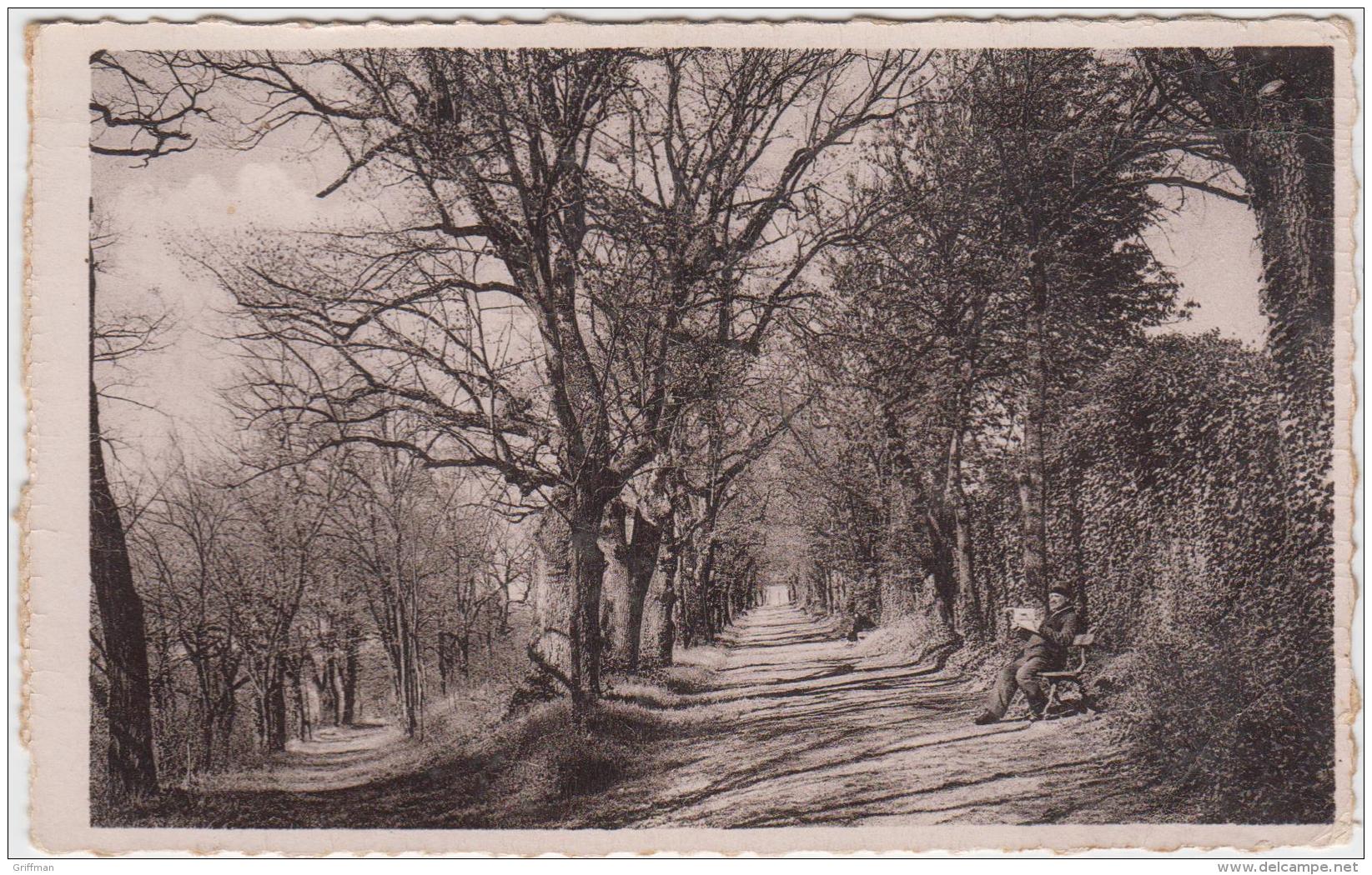 SAINT MIHIEL PROMENADE DES CAPUCINS ANIMEE CPSM 9X14 - Saint Mihiel