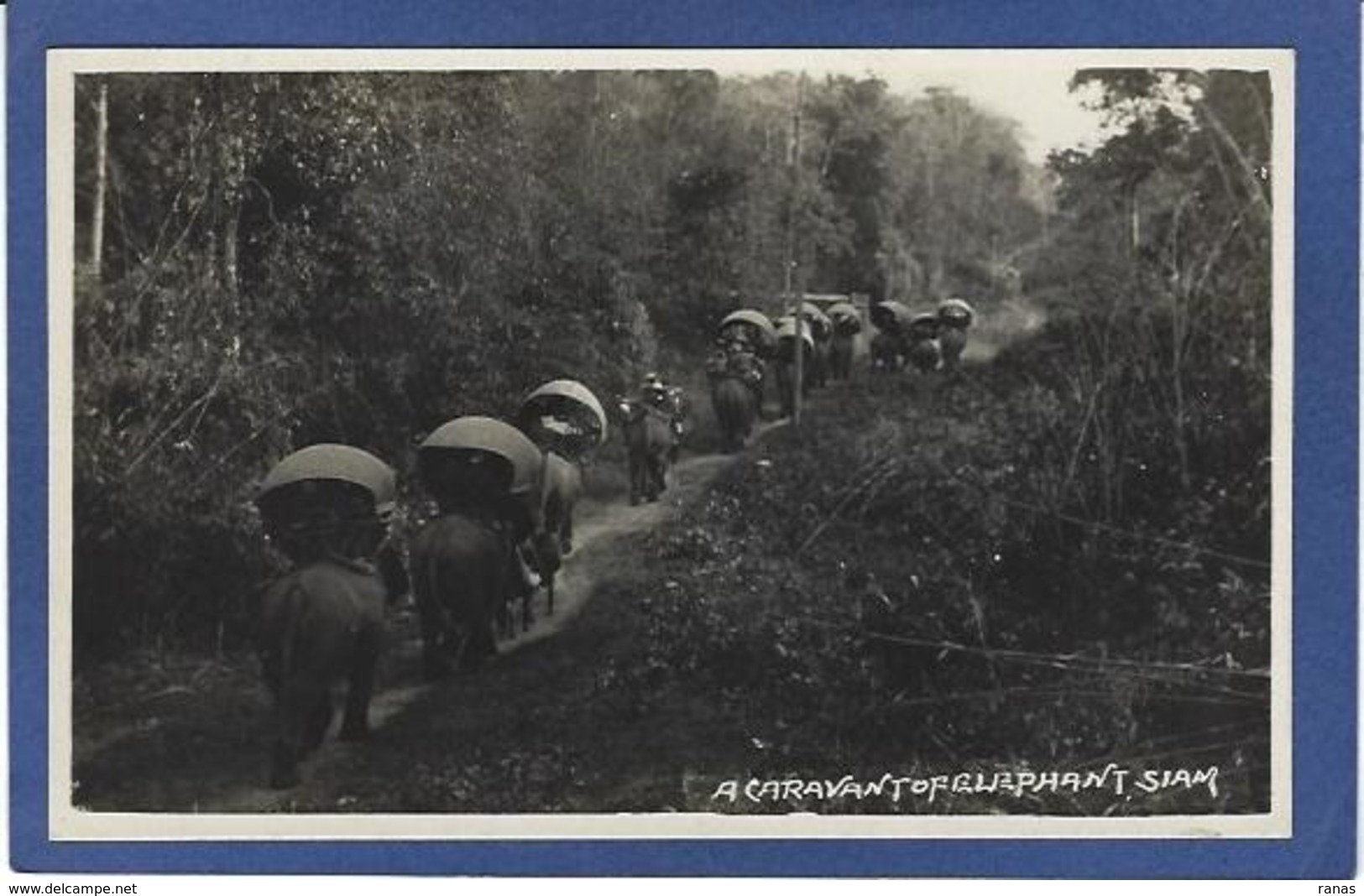 CPA SIAM éléphant Thaïlande Bangkok Non Circulé Carte Photo RPPC - Thailand