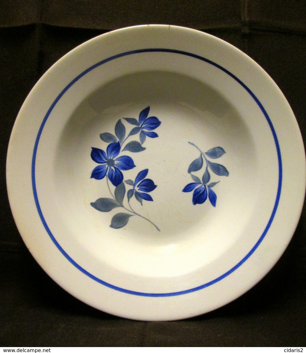 ASSIETTE Service "Pervenche" Faience Faiencerie St AMAND (les EAUX) CERANORD Nord Earthenware 1908/1962 ! - Badonviller (FRA)