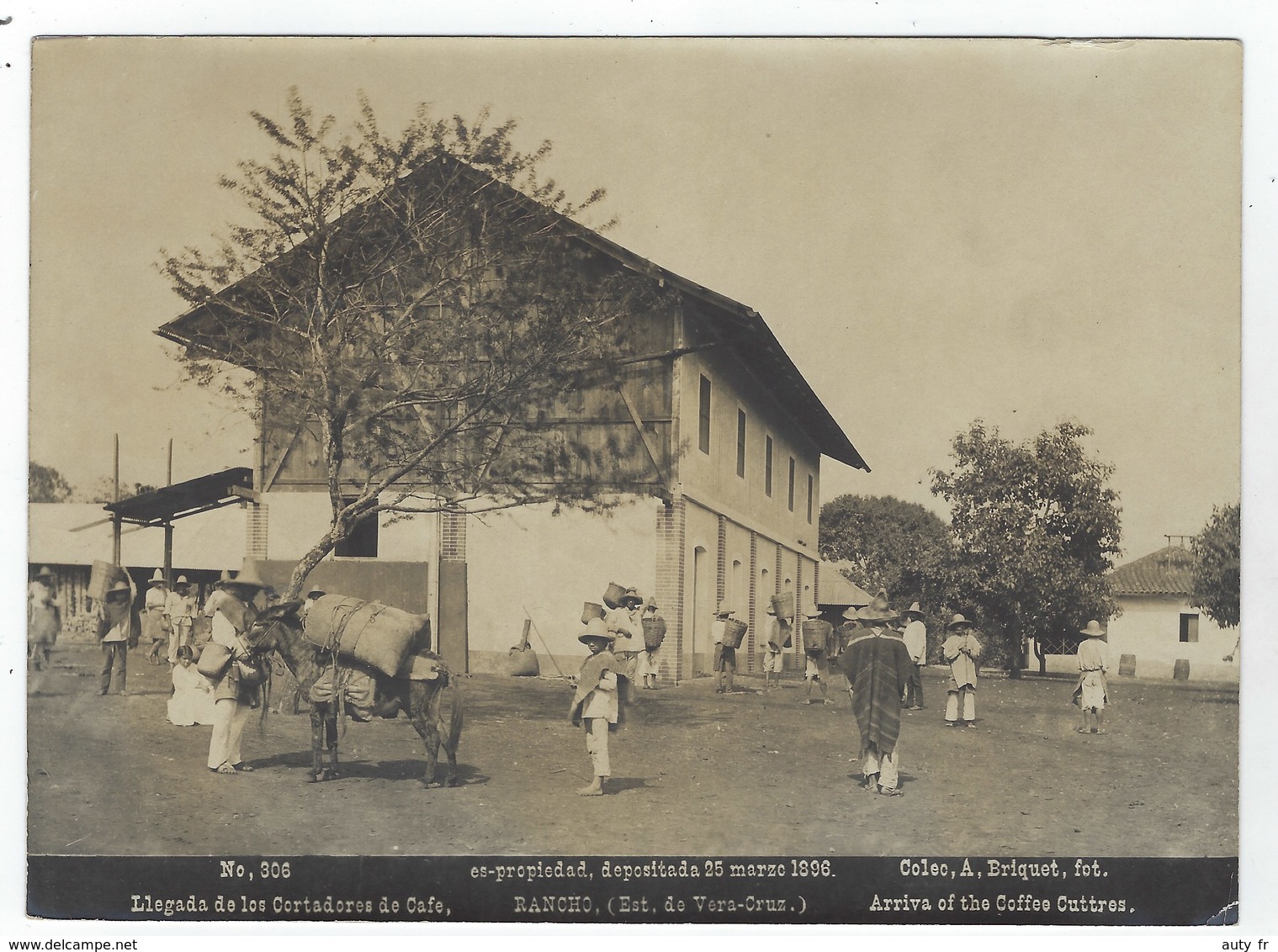 MEXICO - Estado De VERA-CRUZ - RANCHO Llegada De Los Cortadores De Cafe - 1896 - Photo Albuminée De Abel Briquet - Ancianas (antes De 1900)