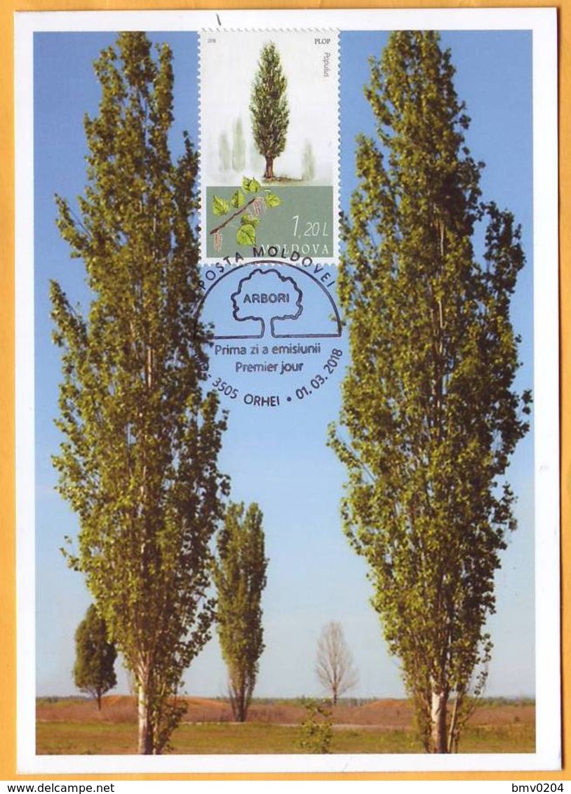 2018 Moldova Moldova "Main Types Of Trees In Moldova"  Poplar,  Maxicard - Moldawien (Moldau)