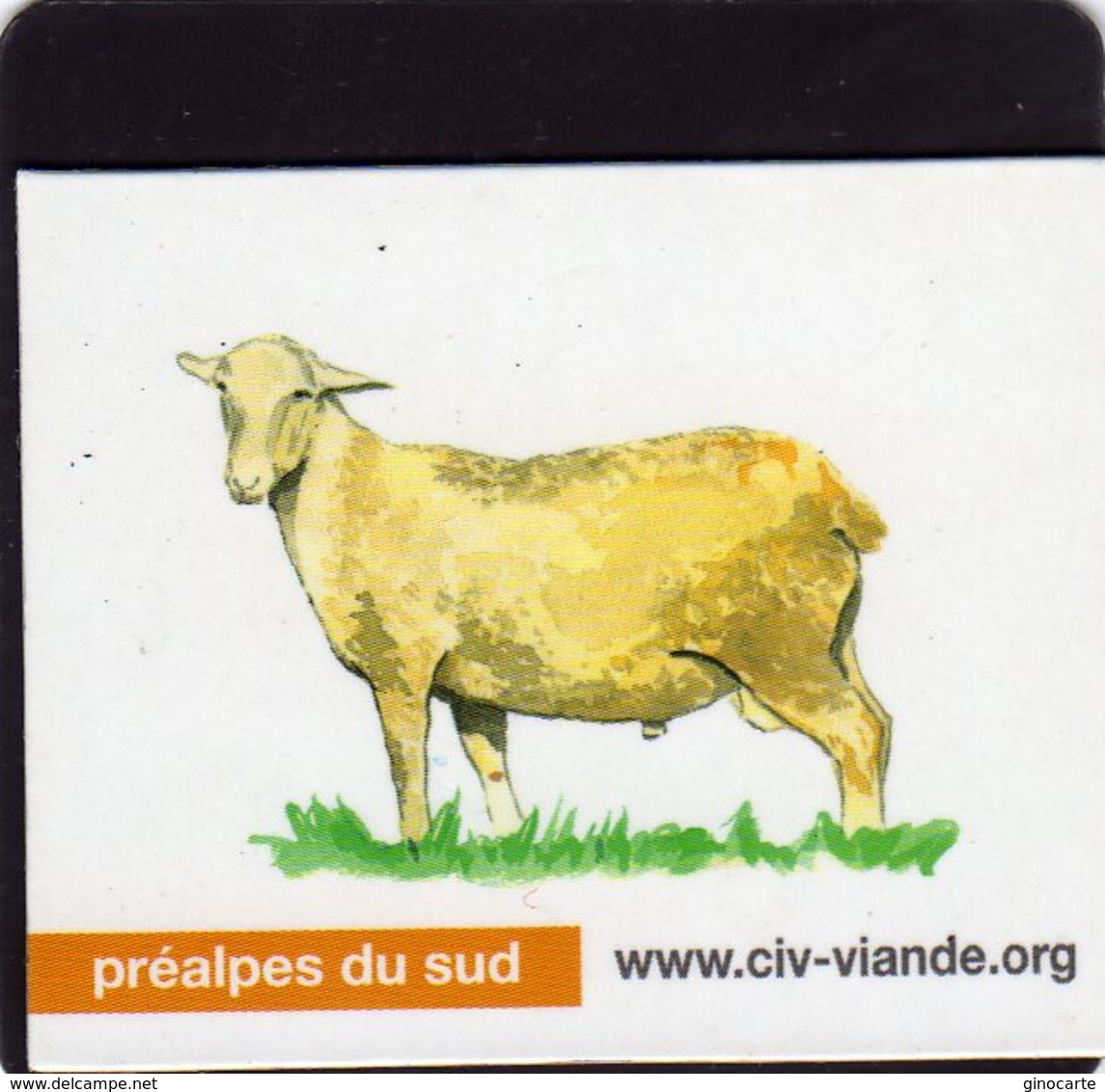 Magnets Magnet Viande Org Mouton Prealpes Du Sud - Animaux & Faune