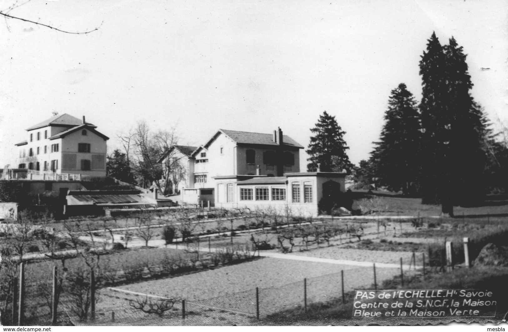 CPSM -  PAS  De L' ECHELLE  (74)  Centre De La S.N.C.F -  La Maison Bleue Et La Maison Verte - Autres & Non Classés