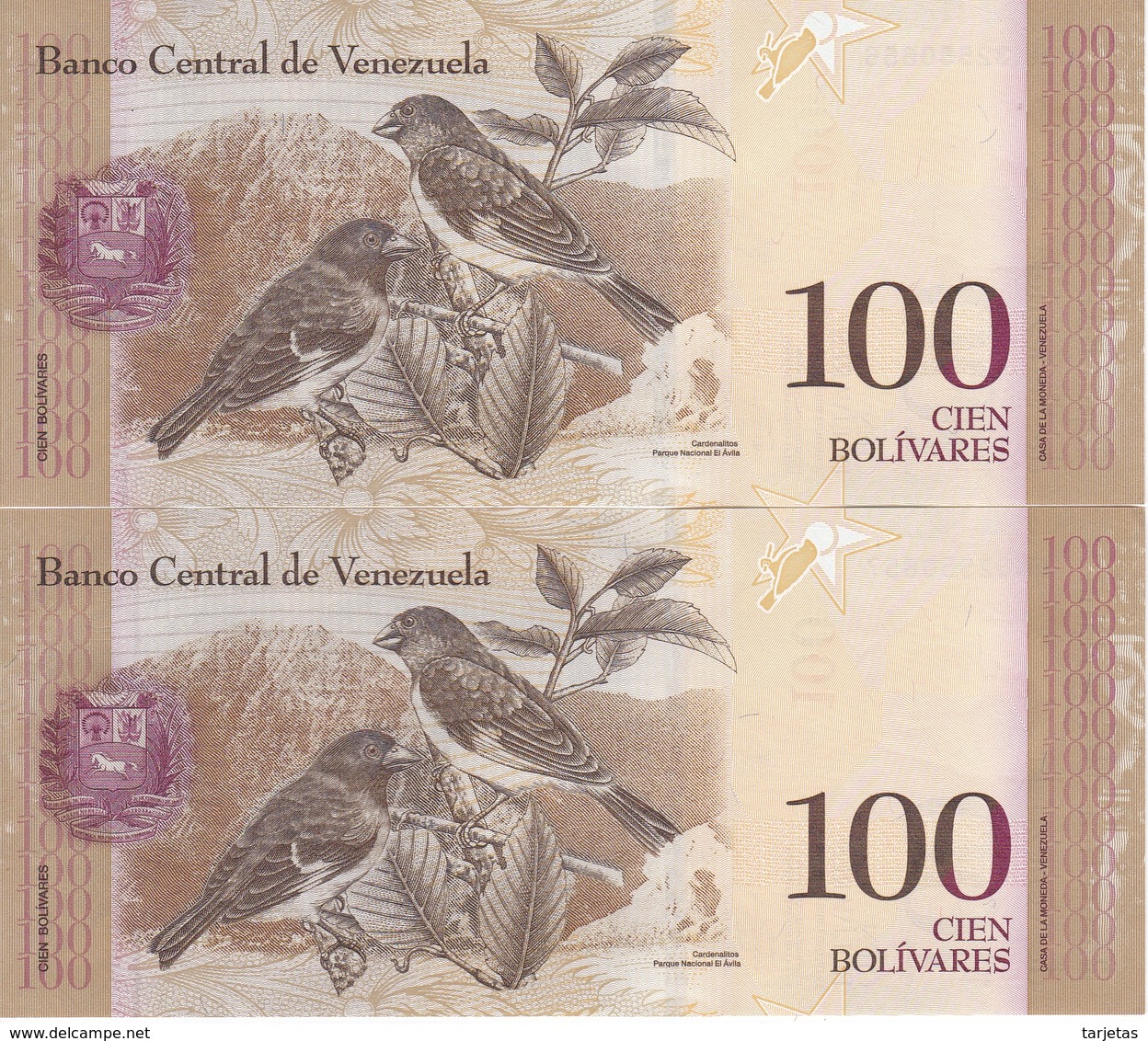 PAREJA CORRELATIVA DE VENEZUELA DE 100 BOLIVARES 29 DE OCTUBRE DEL 2013 SIN CIRCULAR-UNCIRCULATED  (BANK NOTE) PAJARO - Venezuela