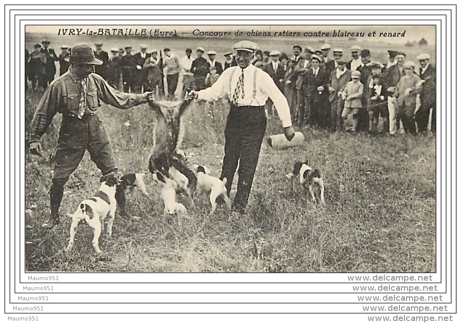 27 IVRY LA BATAILLE - Concours De Chiens Ratiers Contre Blaireau Et Renard - Autres & Non Classés