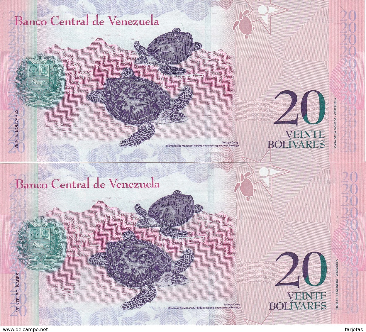 PAREJA CORRELATIVA DE VENEZUELA DE 20 BOLIVARES 29 DE 0CTUBRE DEL 2013 SIN CIRCULAR-UNCIRCULATED  (BANK NOTE) TURTLE - Venezuela