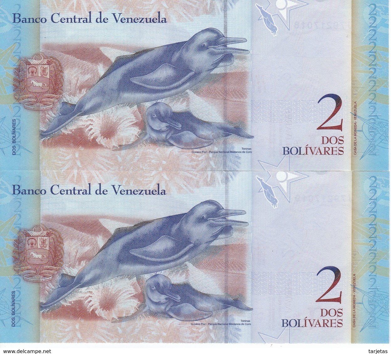 PAREJA CORRELATIVA DE VENEZUELA DE 2 BOLIVARES 31 DE ENERO DEL 2012 SIN CIRCULAR-UNCIRCULATED  (BANK NOTE) DELFIN - Venezuela