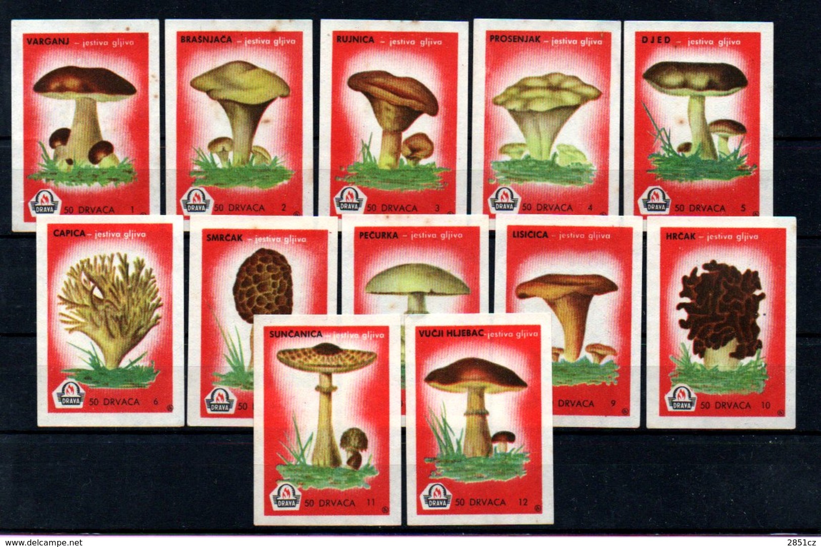 Matchbox Labels - Drava / Osijek - Mushrooms, Yugoslavia - Zündholzschachteletiketten