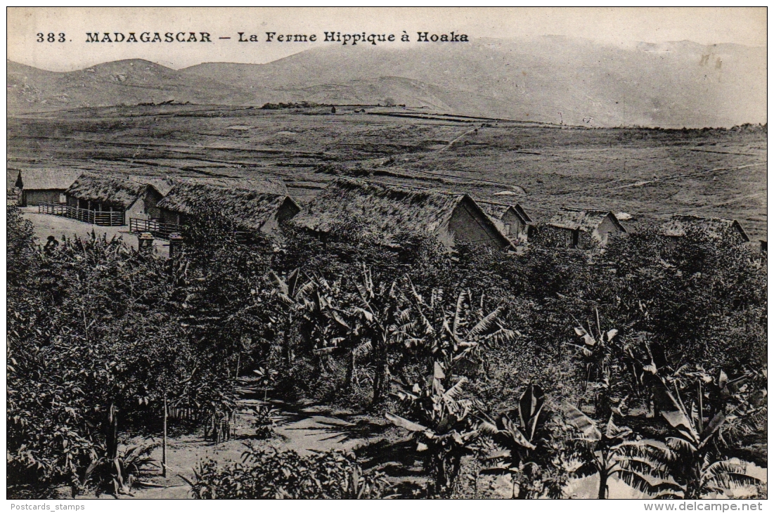 MADAGASCAR - La Ferme Hippique à Hoaka, Um 1910 - Madagaskar