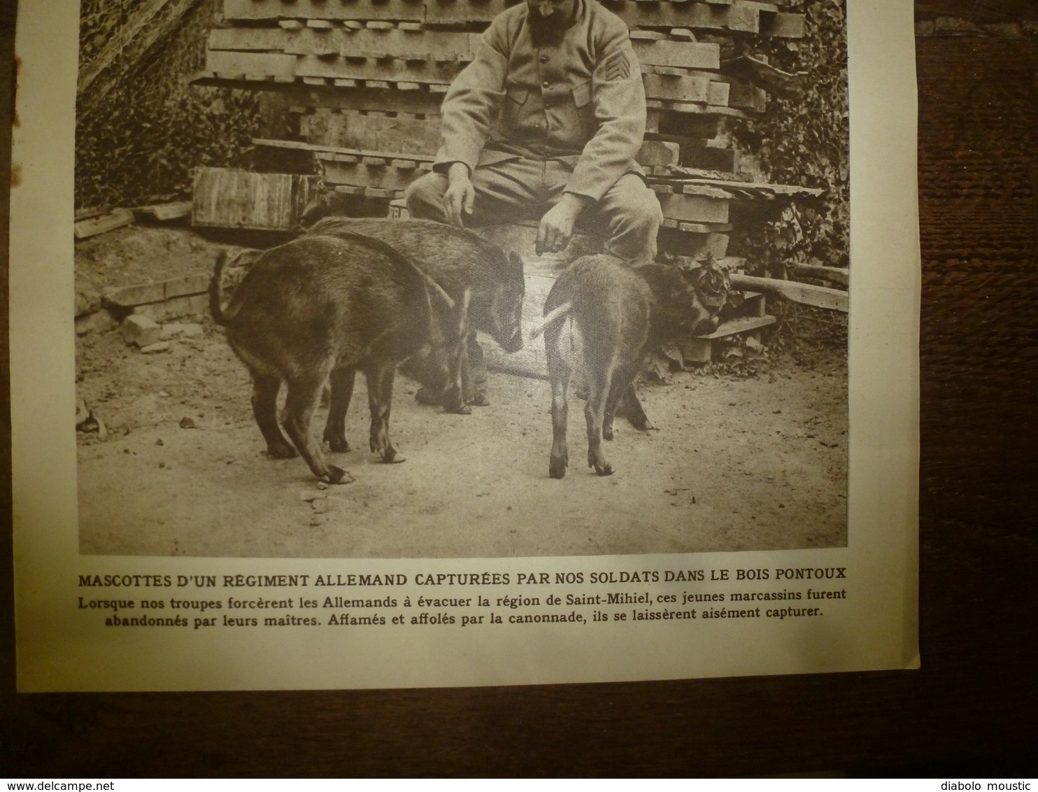 1918 LE MIROIR: Les Belges à Dixmude;English Soldier-dogs;Les Sangliers-mascottes Des Allemands;Combres,Herbeville;etc - Frans