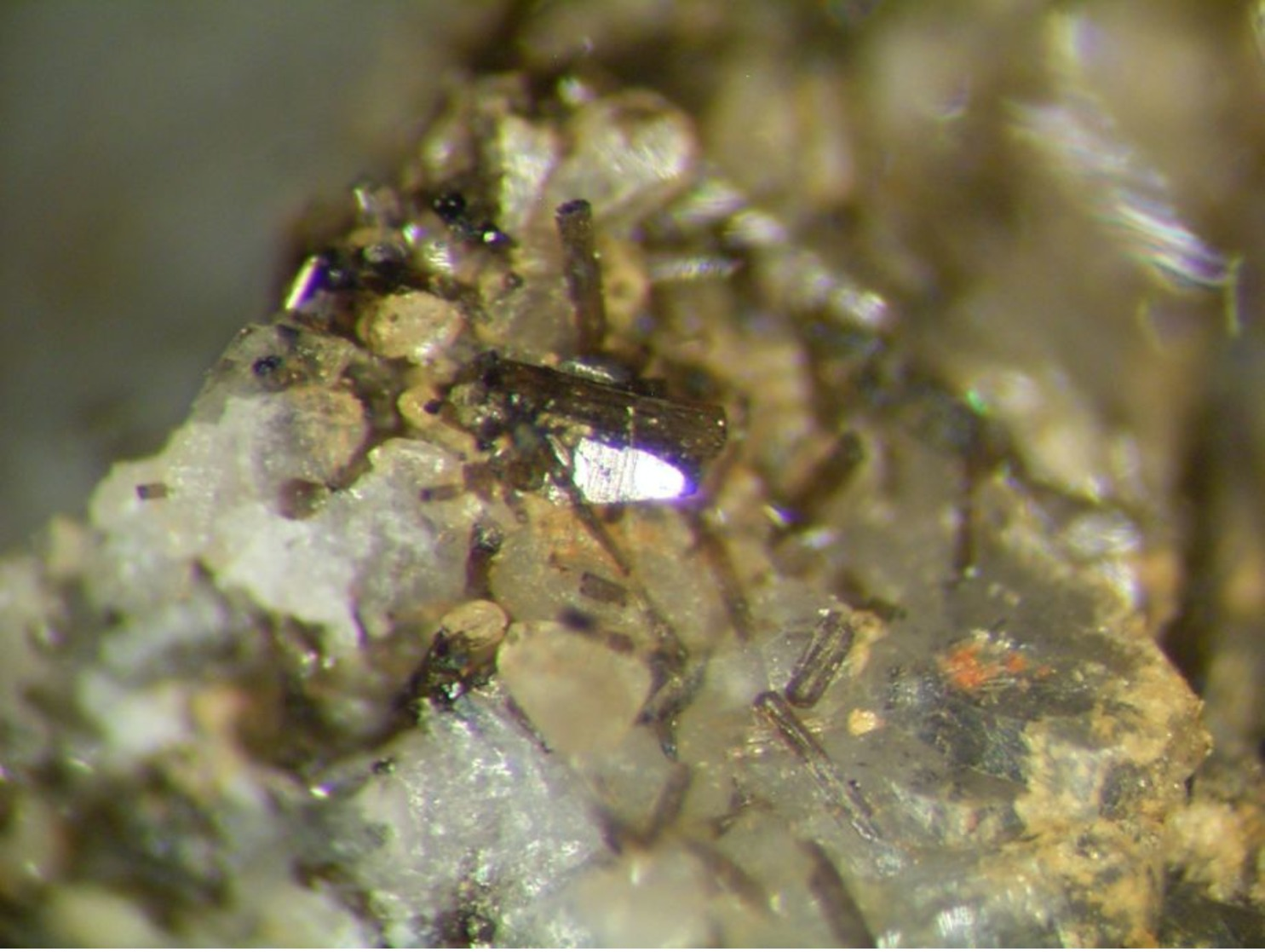 * ANATASE Xls, Föckelberg, Kusel, Pfalz, BRD - Minéraux