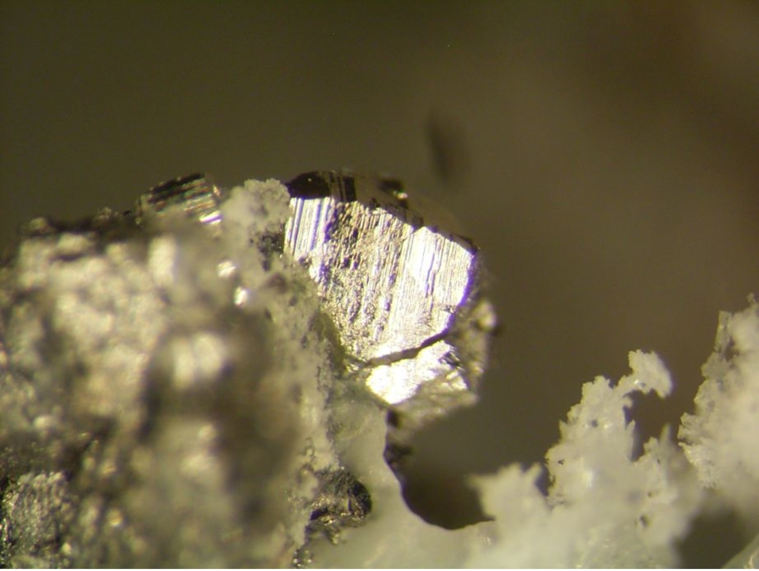 * ARSENOPYRITE Xls, Erlenbach, Odenwald, BRD * - Minerali