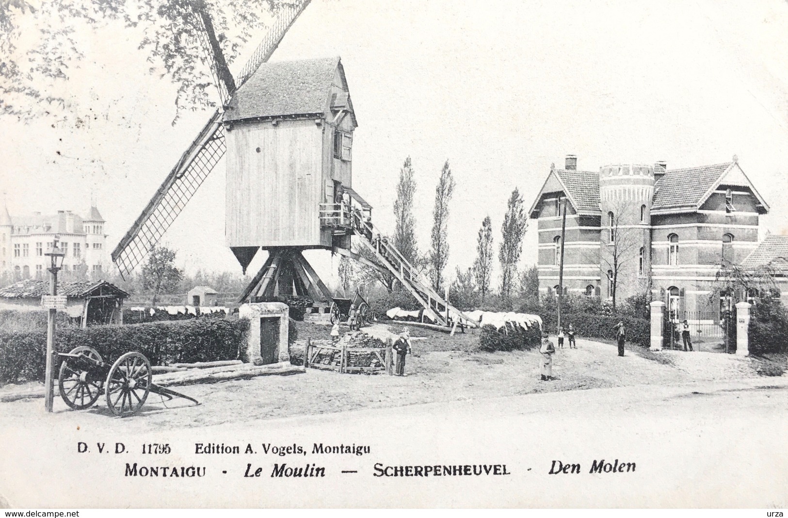 Montaigu/Scherpenheuvel-le Moulin à Vent-de Windmolen-animée-1908 - Scherpenheuvel-Zichem