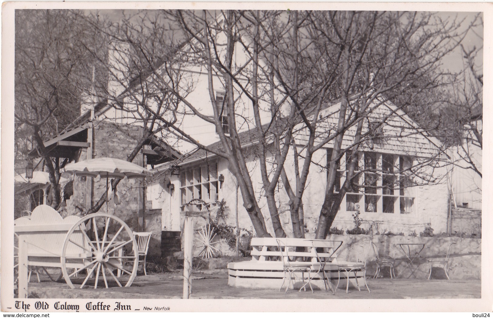 NORFOLK CARTE PHOTO  THE OLD COLONG COFFEE INN NEW NORFOLK - Autres & Non Classés