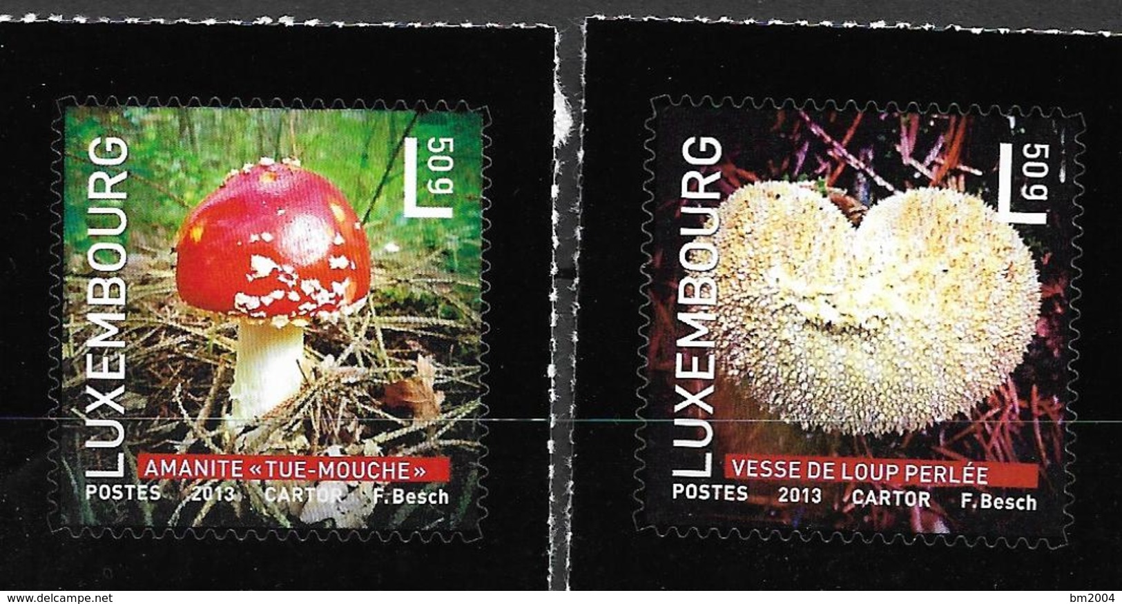 2013 Luxemburg Mi. 1987-91   **MNH  Einheimische Pilze. - Ungebraucht