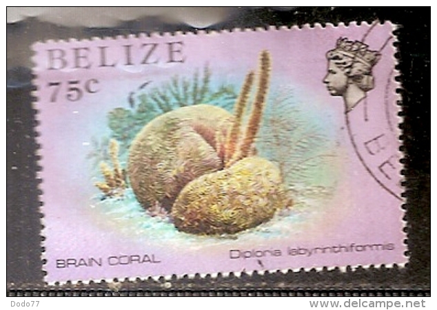 BELIZE   OBLITERE - Belize (1973-...)