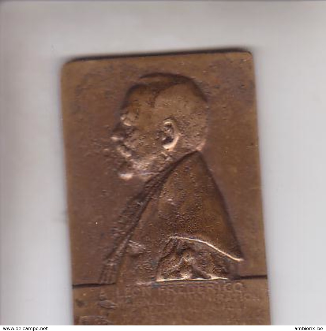 Plaquettee En Bronze - Léon Frédéricq - à Identifier - Professionali / Di Società