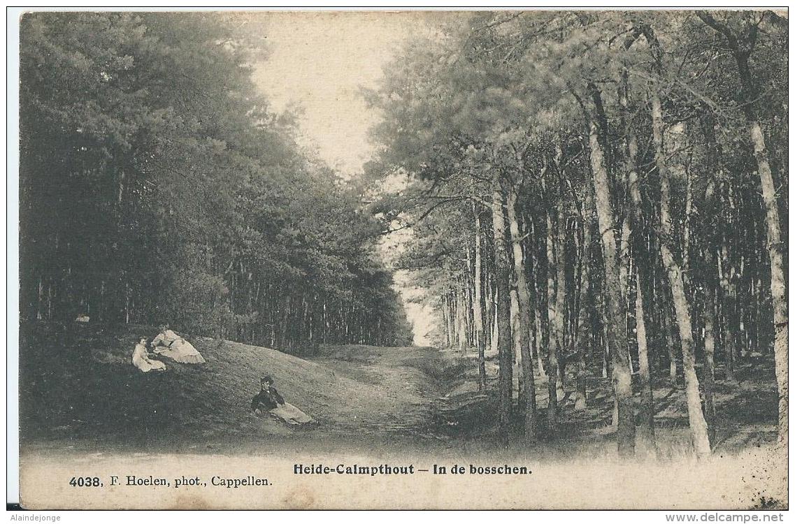 Kalmthout - Heide-Calmpthout - In De Bosschen - 4038 - F. Hoelen - 1909 - Kalmthout