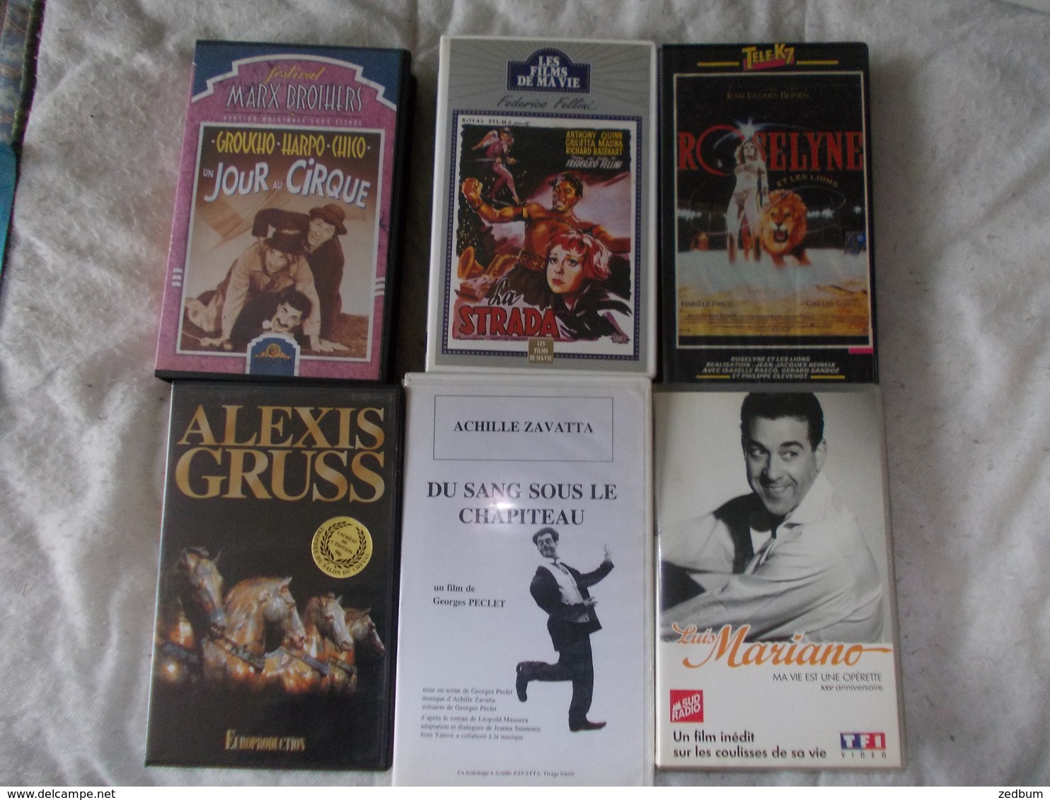 Lot De 6 K7 VHS Sur Le Cirque Collection Alain Nénert - Autres & Non Classés