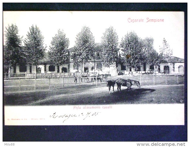 LOMBARDIA -VARESE -CASORATE SEMPIONE -F.P. LOTTO N°238 - Varese