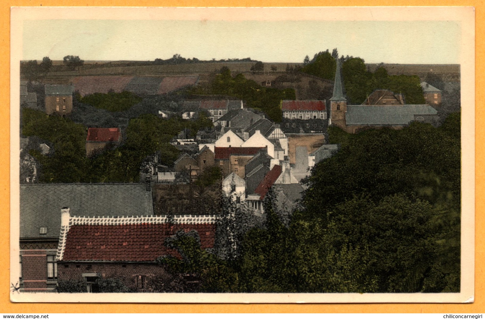 Bousval - Panorama - Edit. A. ROCH SERET - 1965 - Oblit. BOUSVAL Sur Abbaye Affligem - Cp Glacée Et Colorisée - Genappe