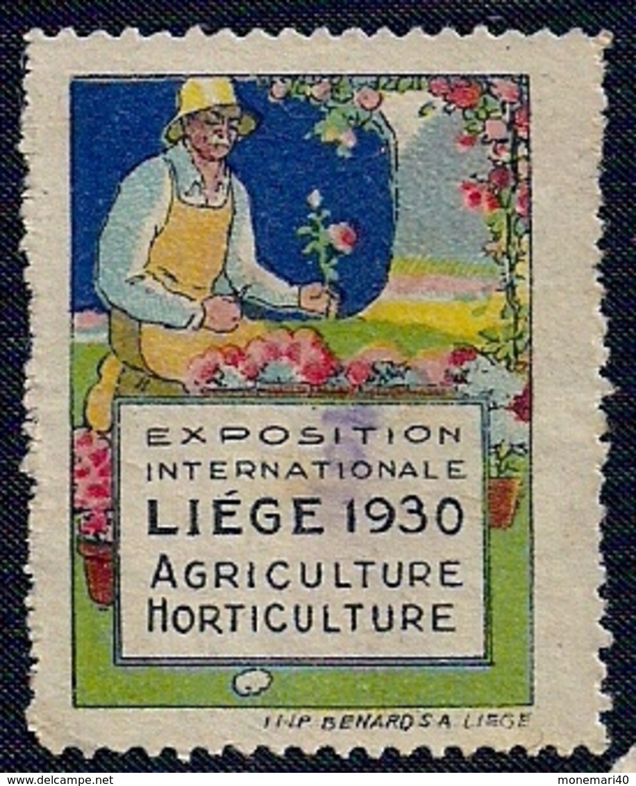 BELGIQUE - VIGNETTE - EXPOSITION INTERNATIONALE - LIÈGE  1930. - Sonstige & Ohne Zuordnung