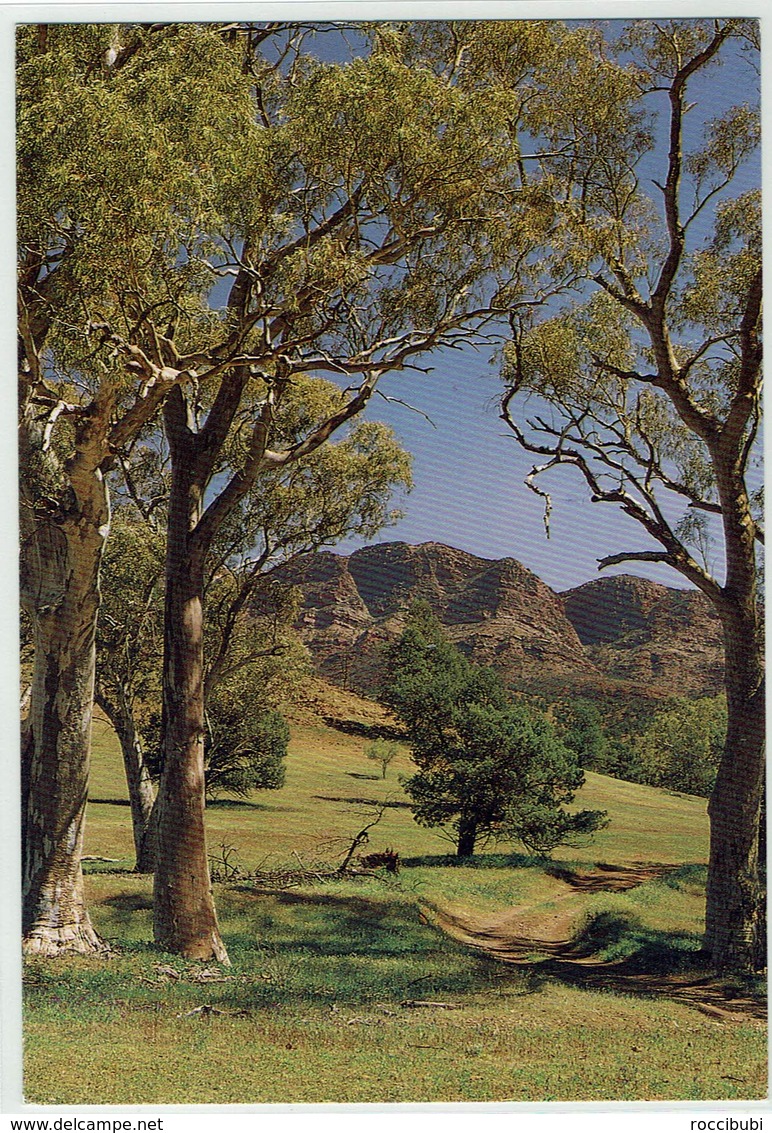 Australien, South Australia, Flinders Ranges - Flinders Ranges