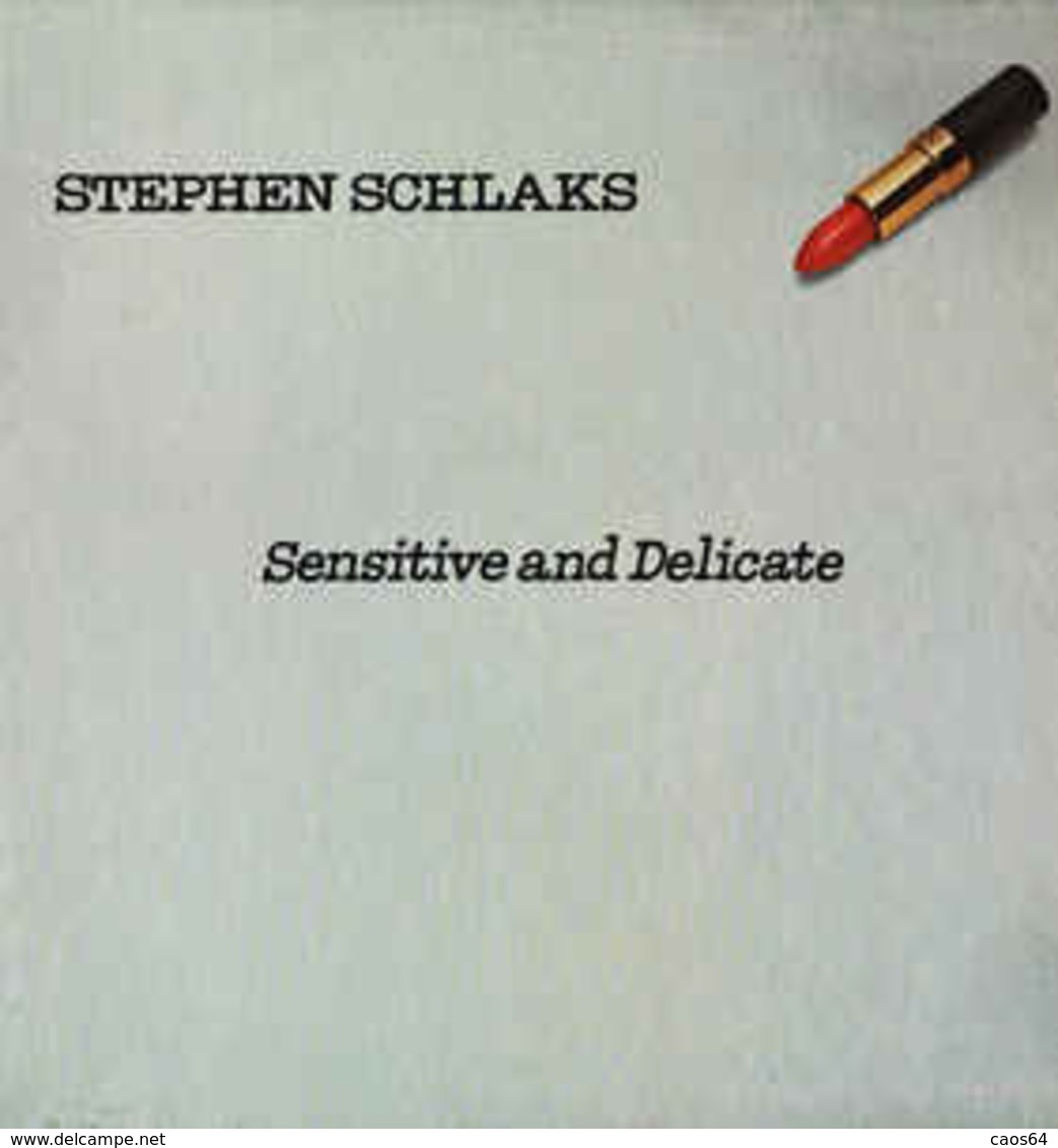 Stephen Schlaks ‎   Sensitive And Delicate LP - Disco & Pop