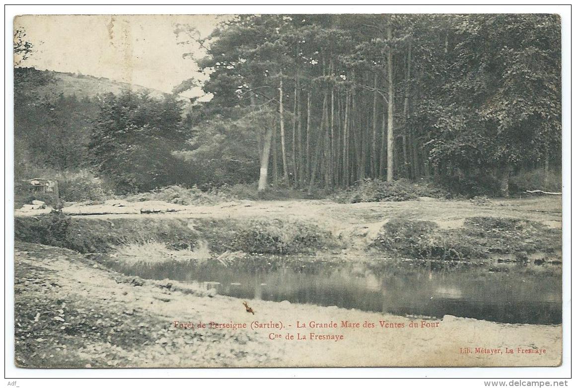 CPA LA FRESNAYE, FORET DE PERSEIGNE, LA GRANDE MARE DES VENTES DU FOUR, SARTHE 72 - La Fresnaye Sur Chédouet