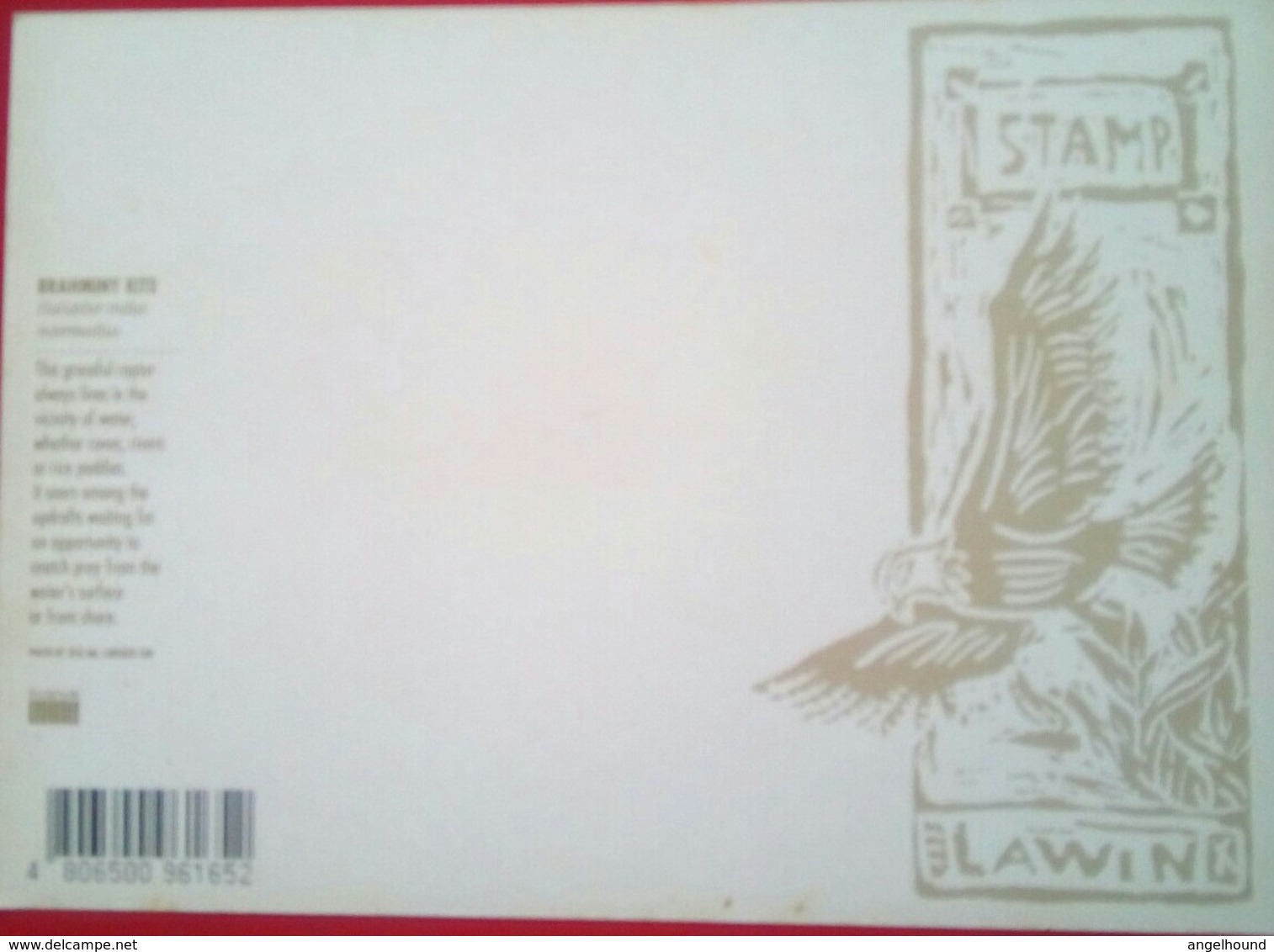 Brahminy Kite ( Lawin Bird ) - Philippinen