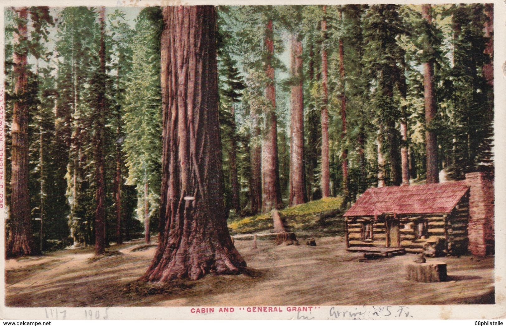 USA 1905 CARTE POSTALE DE KINGS KANYON  CABIN  AND "GENERAL GRANT" TREE - Kings Canyon