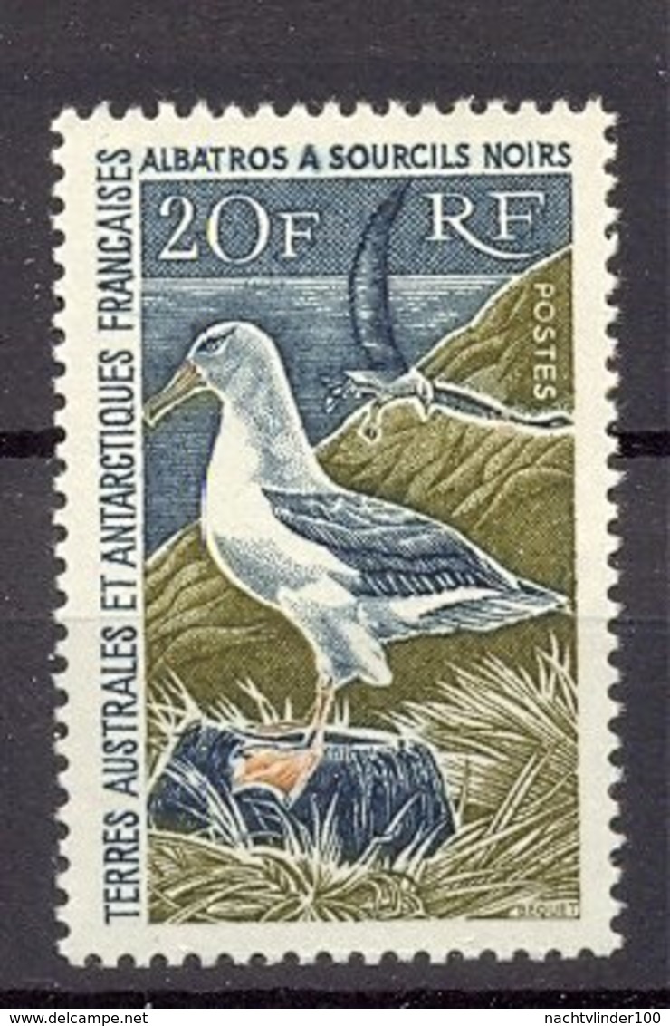 Naa0979 VOGELS BIRDS ALBATROSS VÖGEL AVES TAAF TERRES AUSTRALES ET ANTARCTIQUES FRANCAISES 1968 PF/MNH * TOP QUALITY * - Albatros