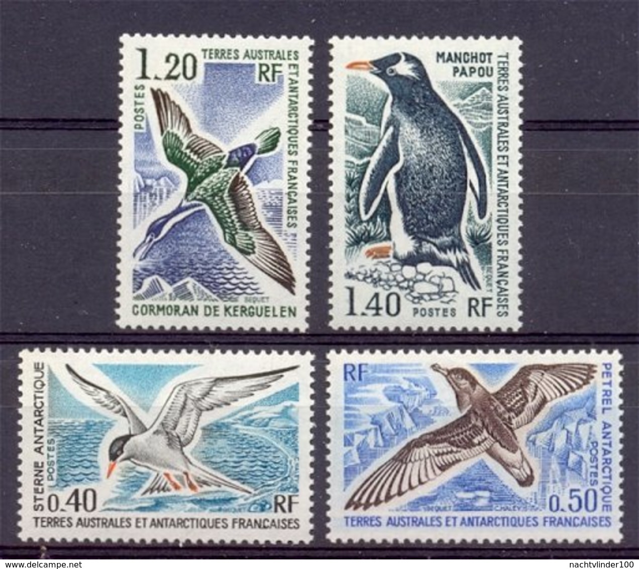 Naa0982 VOGELS BIRDS STERN PENGUIN VÖGEL AVES TAAF TERRES AUSTRALES ET ANTARCTIQUES FRANCAISES 1976 PF/MNH+ONG/MH - Albatros