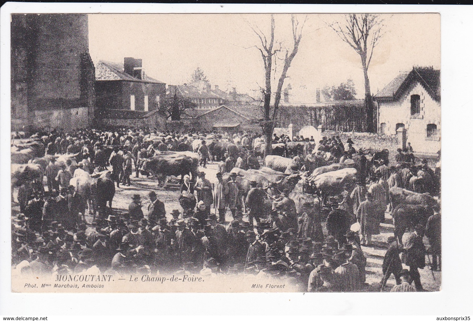 MONCOUTANT - LE CHAMP DE FOIRE - 79 - Moncoutant