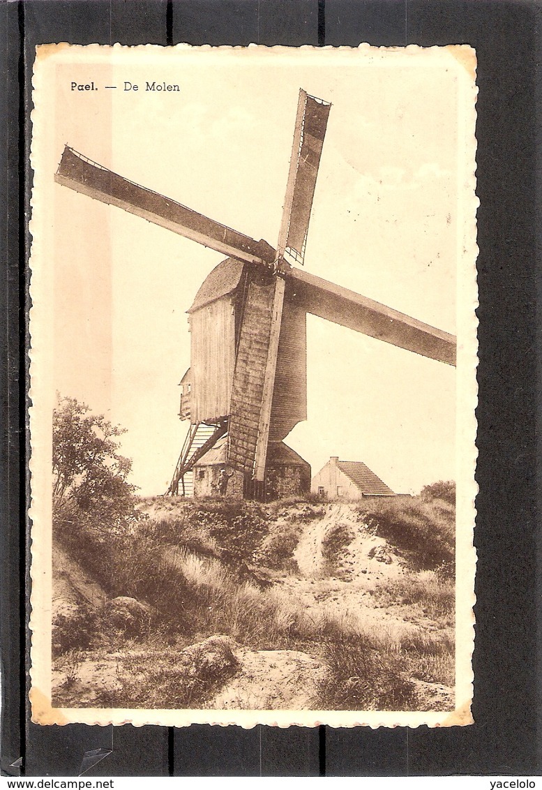 Paal De Molen - Beringen