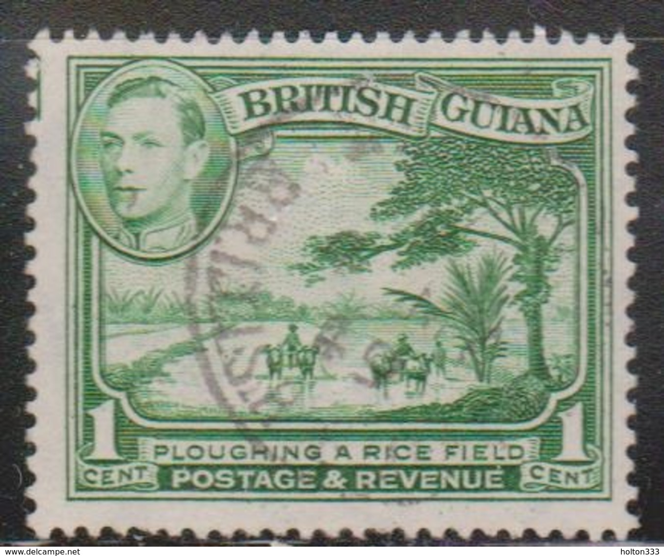 BRITISH GUIANA Scott # 230a Used - KGVI & Plowing Rice Field - Guyane Britannique (...-1966)