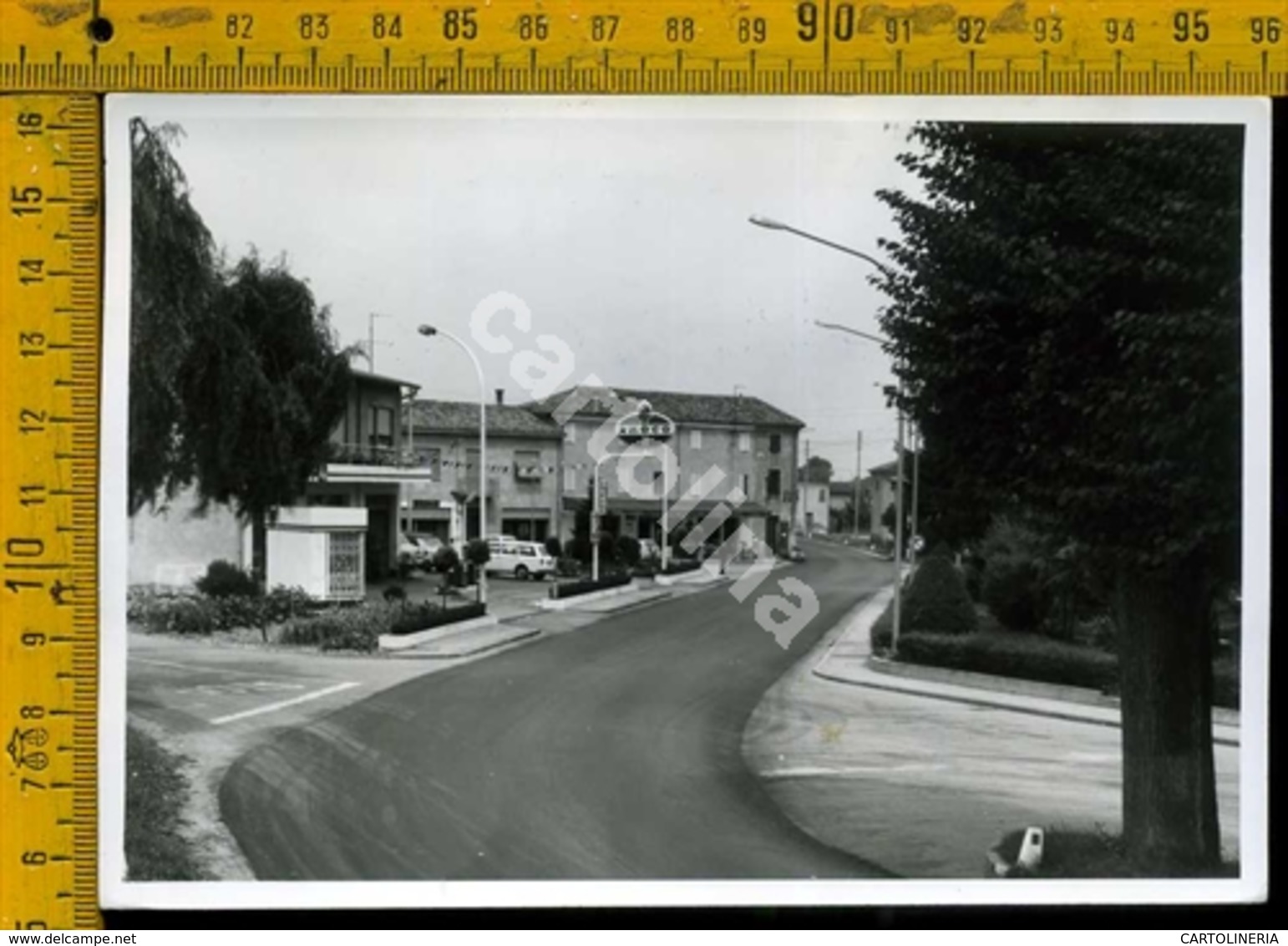 Rovigo Canda (carta Fotografica Fine) - Rovigo