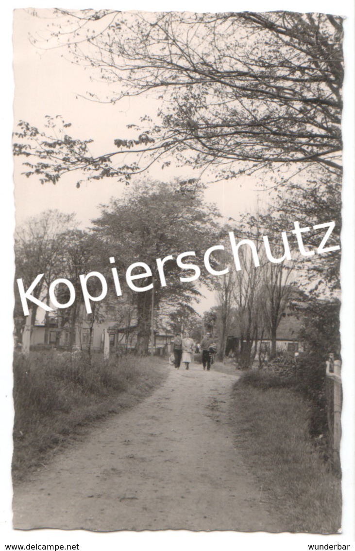 Poststempel Büsum 1958  (z5742) - Buesum