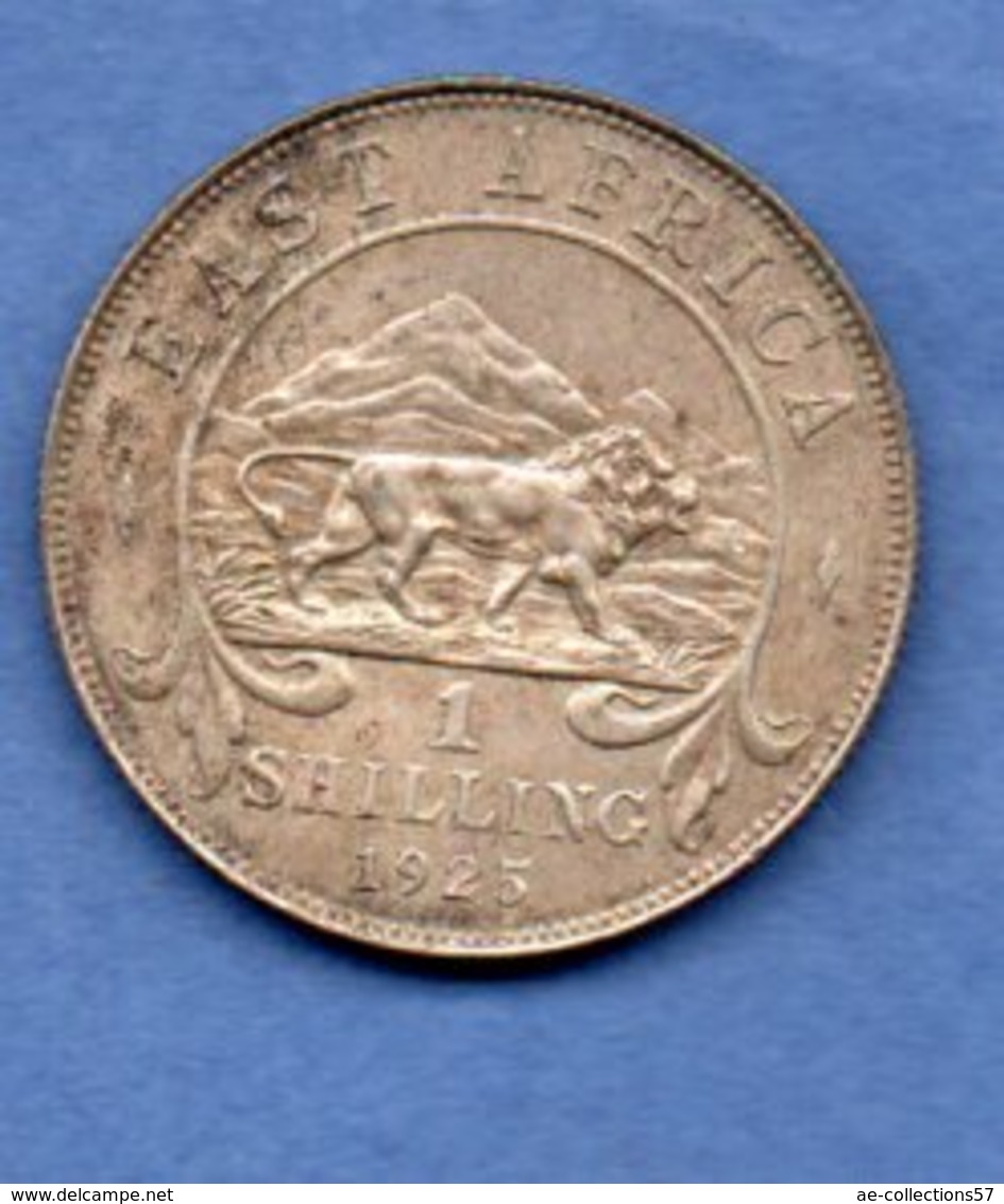 Afrique De L Est  --  1 Shilling 1925  -- état  TTB - Colonies