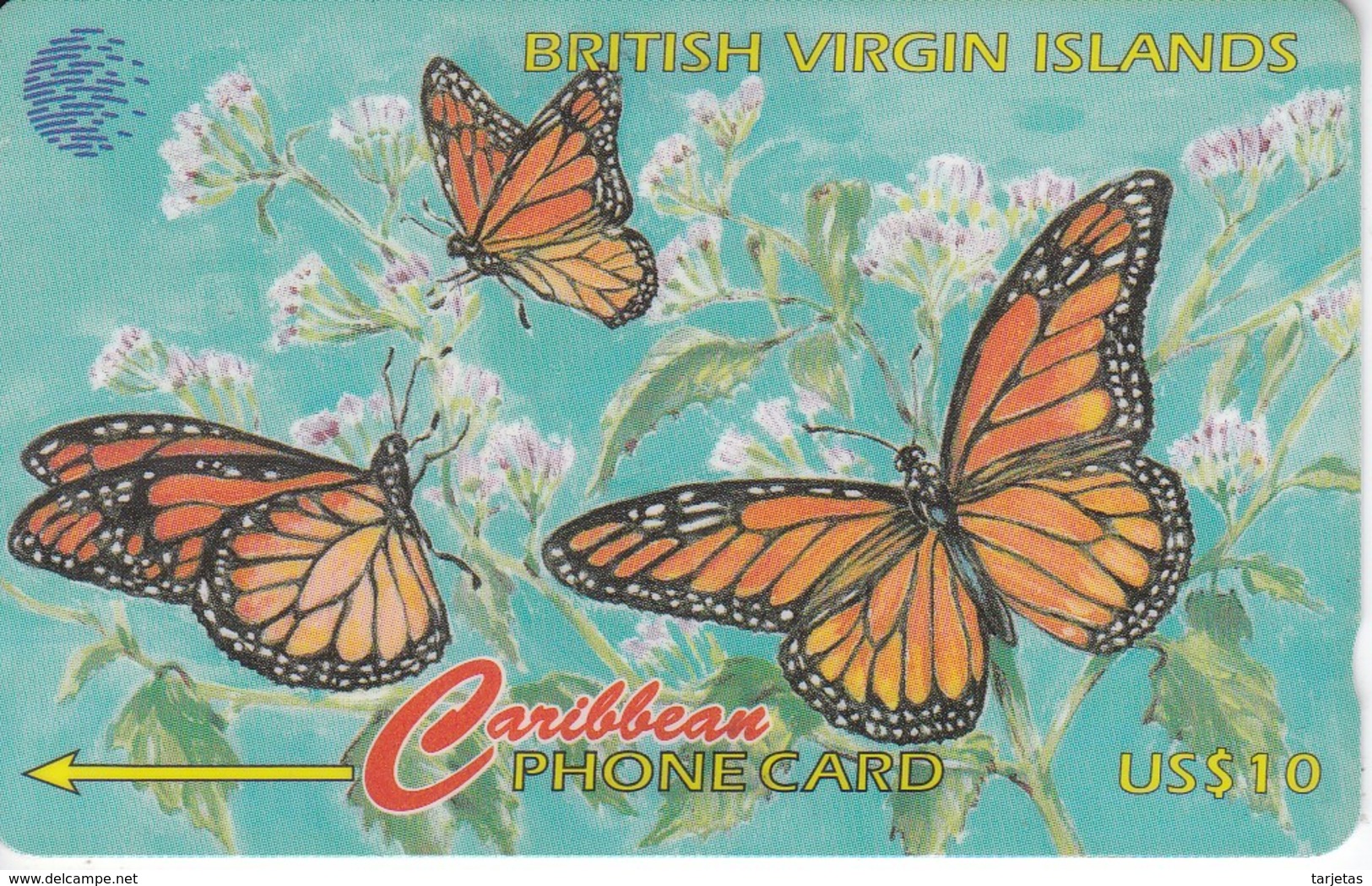 TARJETA DE VIRGIN ISLANDS DEL UNAS MARIPOSAS - BUTTERFLY  (67CBVB) - Virgin Islands