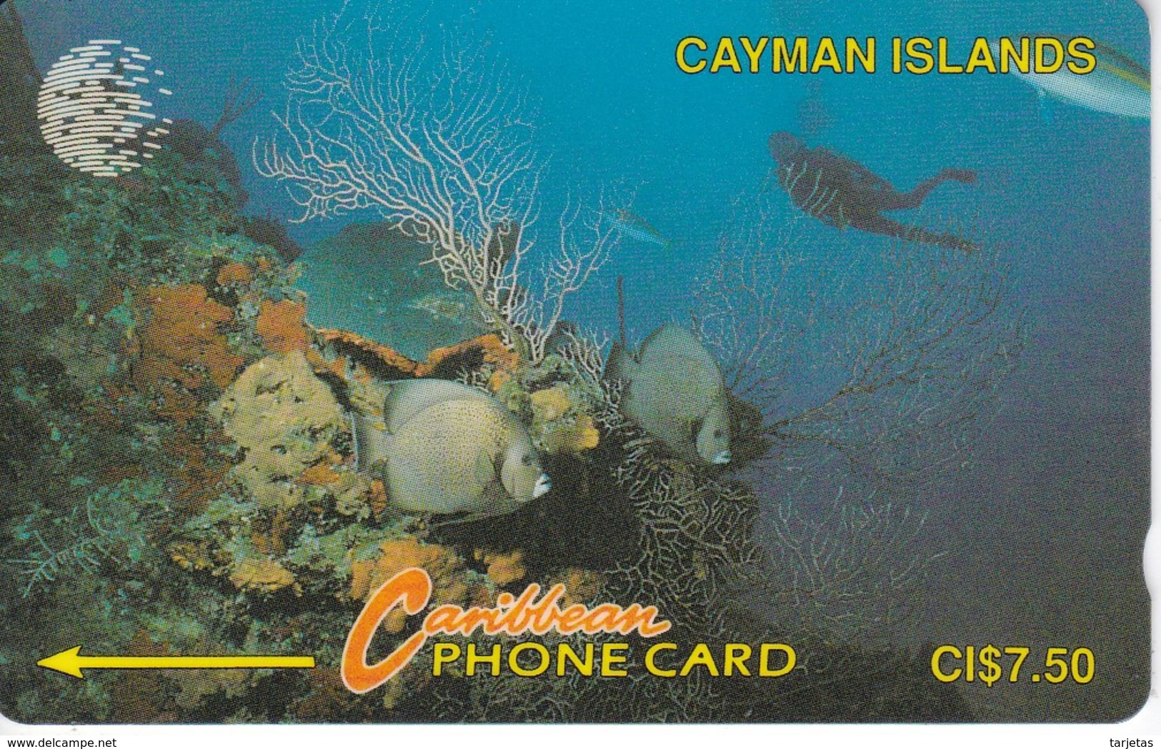 TARJETA DE CAYMAN ISLANDS DE VARIOS PECES  (FISH-PEZ-POISSON) 5CCIA - Islas Caimán