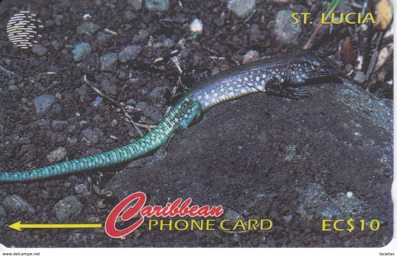 TARJETA DE ST. LUCIA DE UN LAGARTO (LIZARD) 99CSLA - St. Lucia