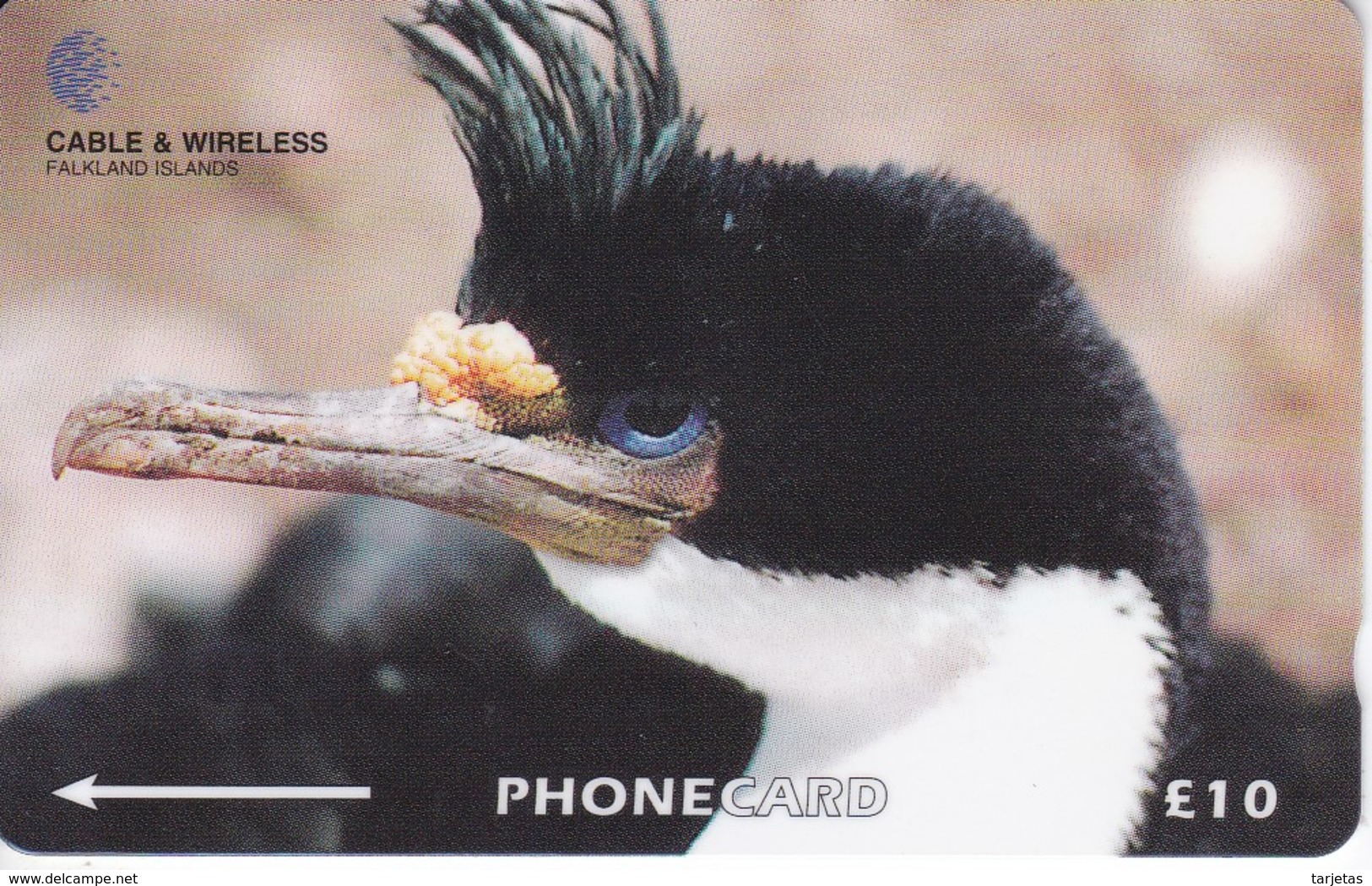 TARJETA DE LAS FALKLAND ISLANDS DE UN CORMORAN - BIRD-PAJARO  (229CFKA) - Falkland