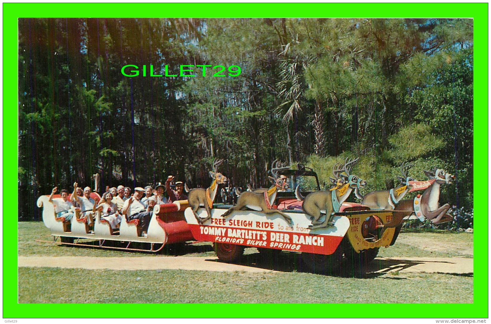 SILVER SPRINGS, FL - SLEIGH-RIDING AT TOMMY BARTLETT'S DEER RANCH - KOPPEL COLOR CARDS - - Silver Springs